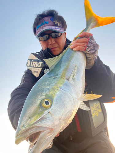 ワラサの釣果