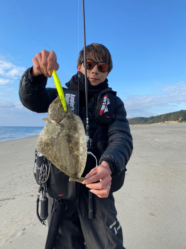 ヒラメの釣果