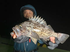 クロソイの釣果