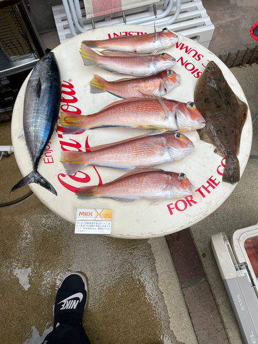 アマダイの釣果