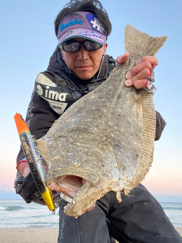 ヒラメの釣果