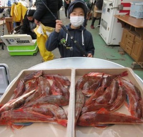 ホウボウの釣果