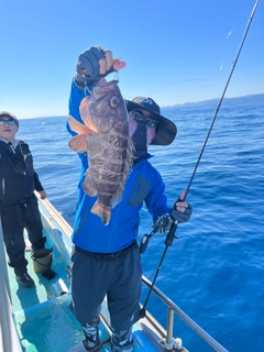 シロアマダイの釣果