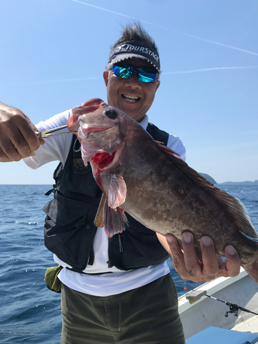 マハタの釣果