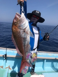 マダイの釣果