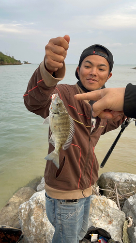 オキナワキチヌの釣果