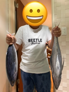 カツオの釣果