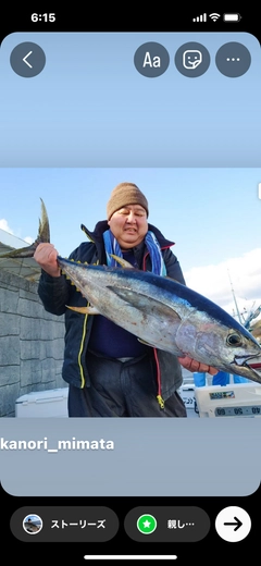 キハダマグロの釣果