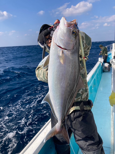 ネイリの釣果