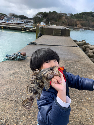 タケノコメバルの釣果