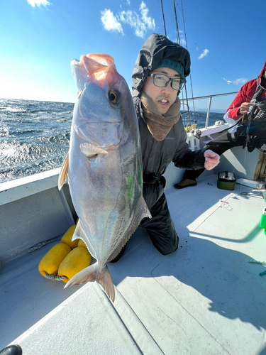 シオの釣果