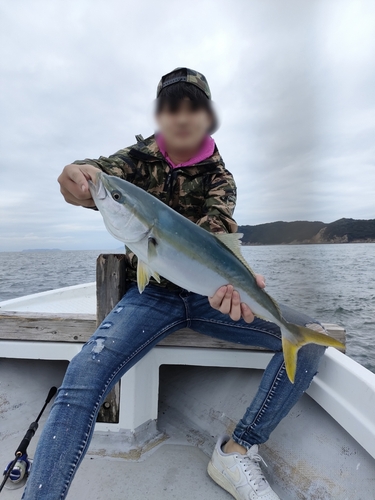 ハマチの釣果