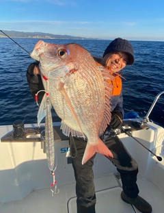 チダイの釣果