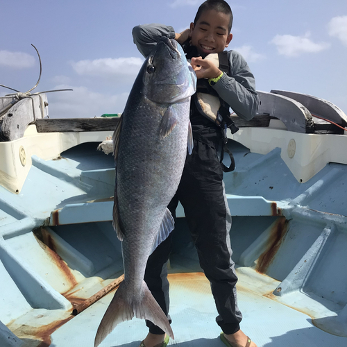 アオチビキの釣果