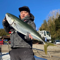 ブリの釣果