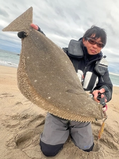ヒラメの釣果