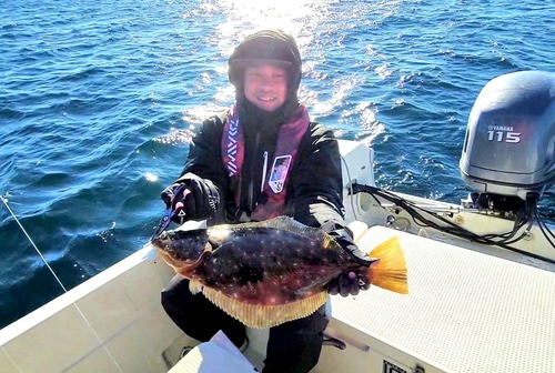 ヒラメの釣果