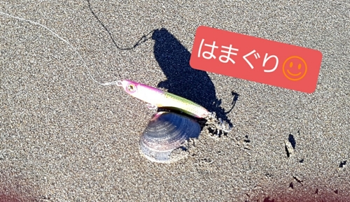 コノシロの釣果