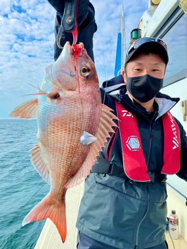 マダイの釣果