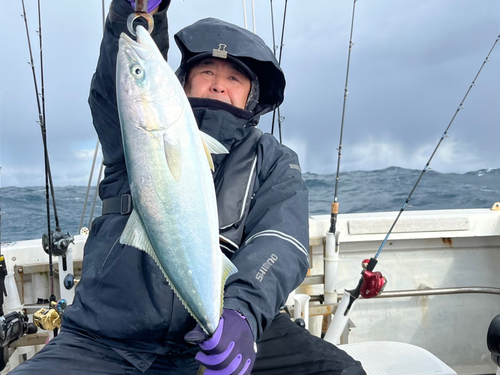 ツバスの釣果