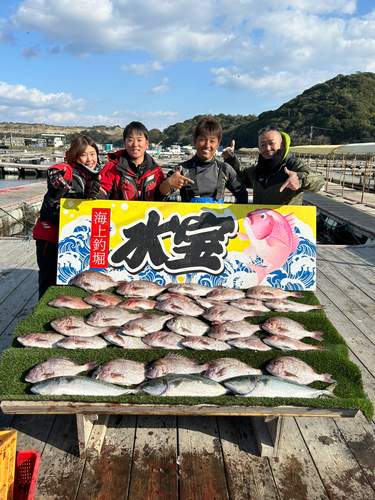 マダイの釣果