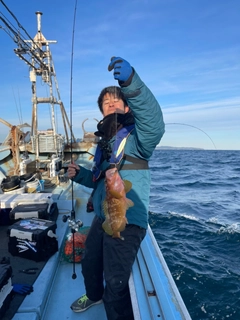 アカハタの釣果