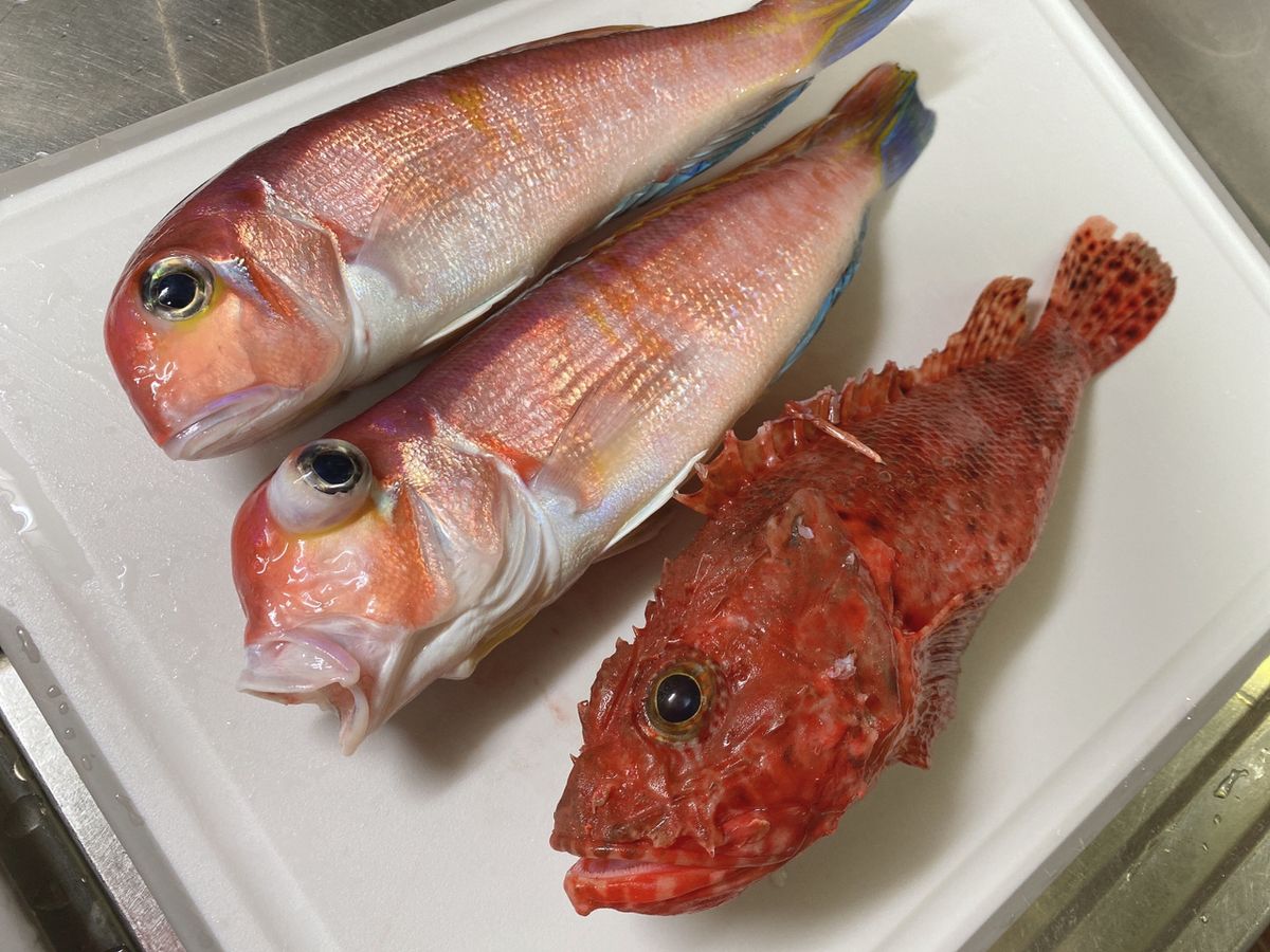 釣りオバサンさんの釣果 2枚目の画像