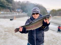 レインボートラウトの釣果