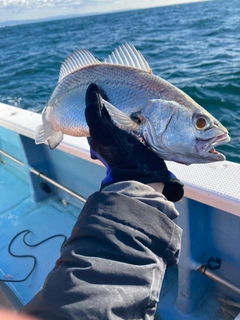 クログチの釣果