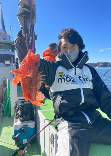 オニカサゴの釣果