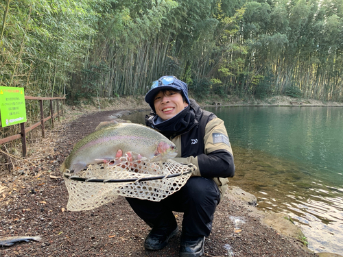 ニジマスの釣果