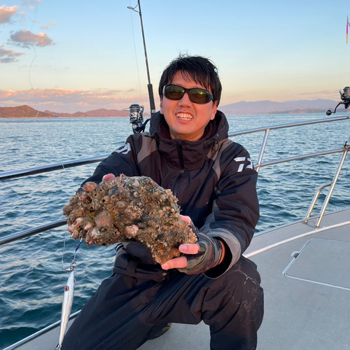 ハマチの釣果