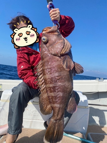 マハタの釣果