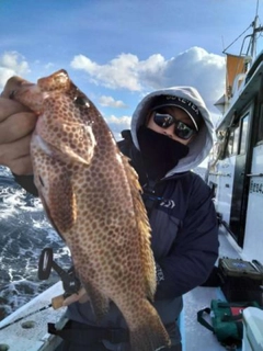 オオモンハタの釣果