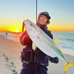 ワラサの釣果