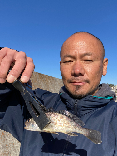 イシモチの釣果