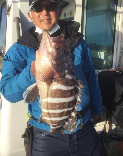 マハタの釣果