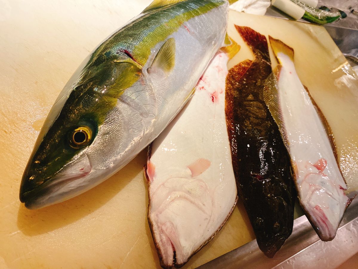 うおっ太郎さんの釣果 2枚目の画像