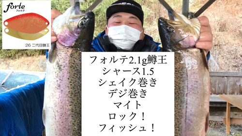 ニジマスの釣果