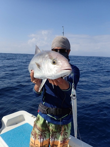 マルクチヒメジの釣果