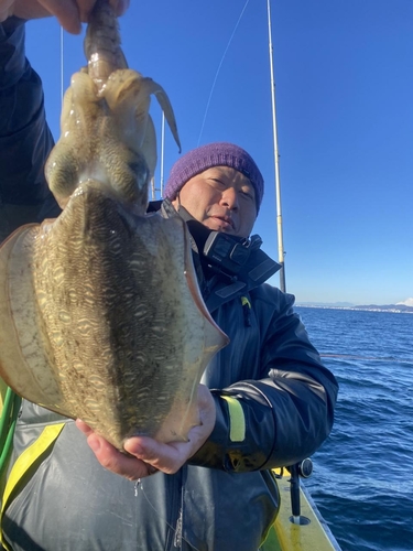 モンゴイカの釣果