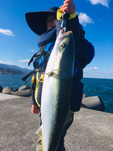 メジロの釣果