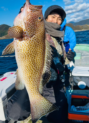 オオモンハタの釣果