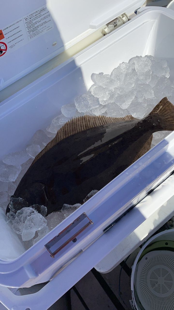 タイタクさんの釣果 2枚目の画像