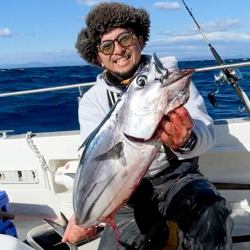 カツオの釣果