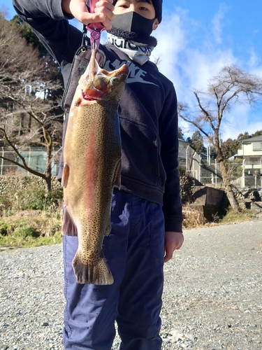 ニジマスの釣果