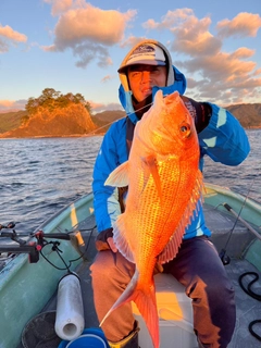 マダイの釣果