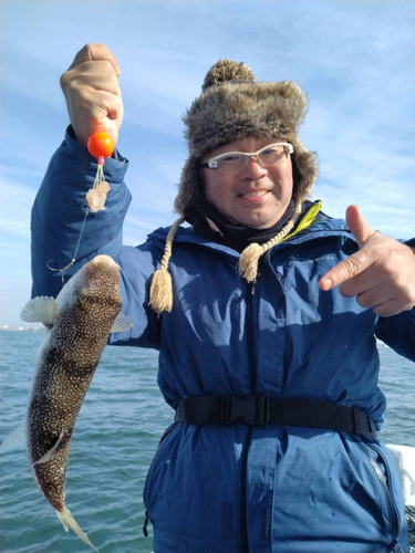 ショウサイフグの釣果