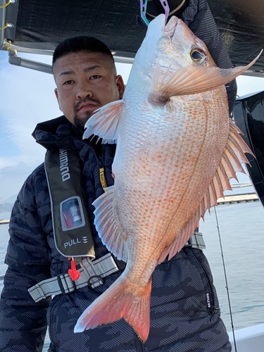 タイの釣果