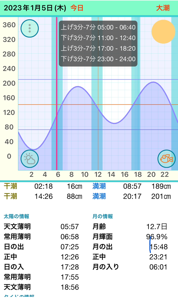 アオリイカ